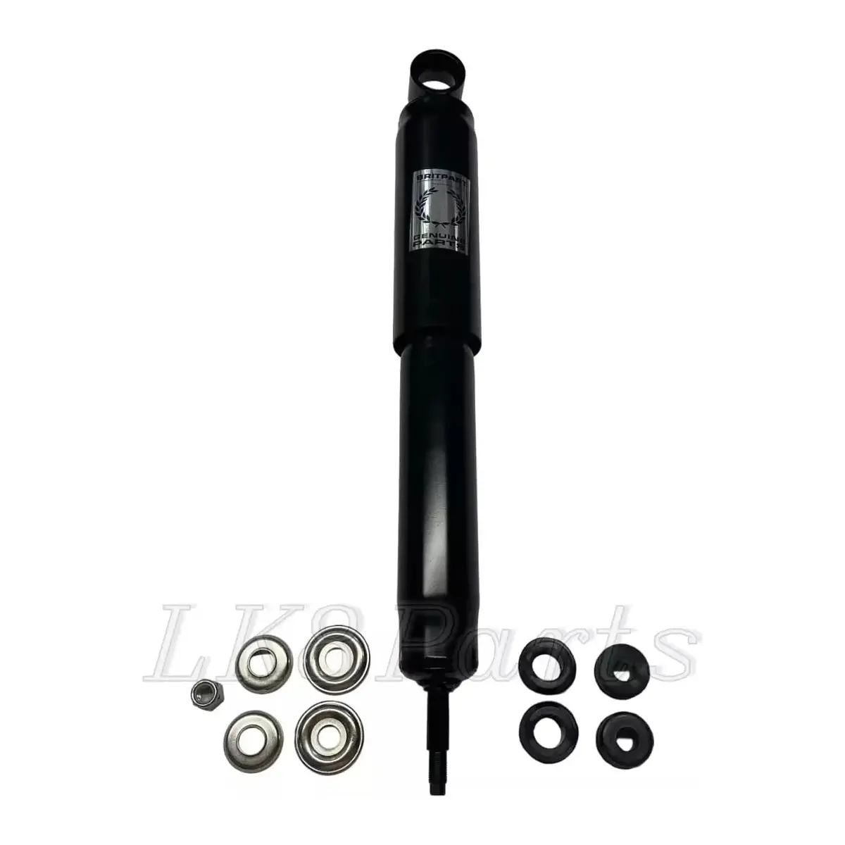 Rear Shock Absorber 1