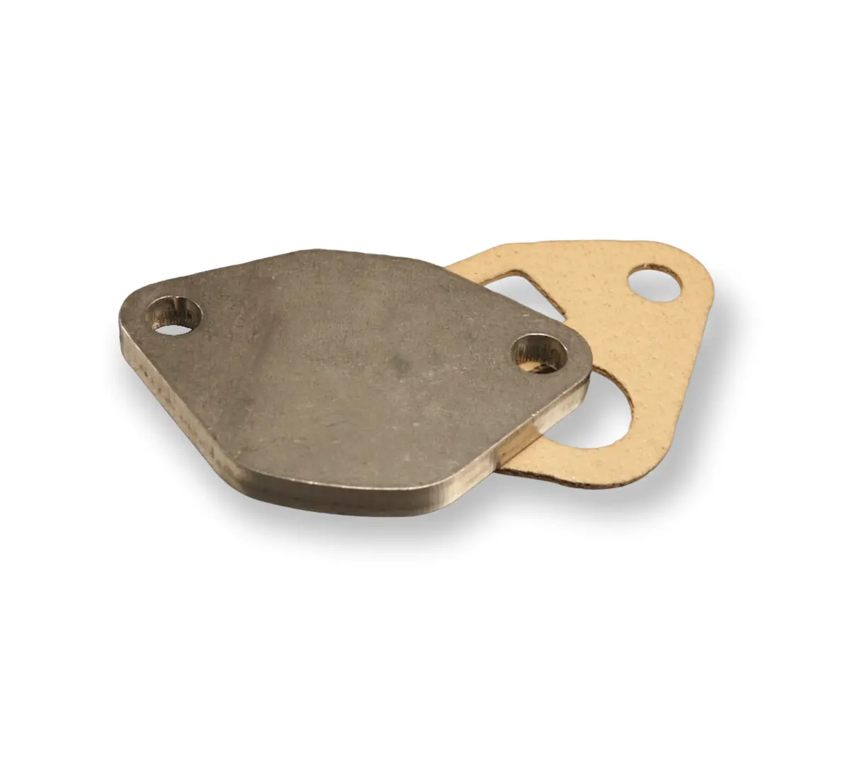 Egr Block-Off Plate And Gasket 1