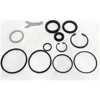 Steering Box Main Seal Kit 1