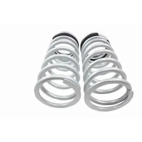 1In Lowered Rear Springs Pair 1