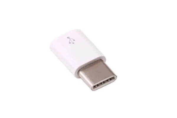 Usb Micro-B To Usb-C Adapter (White) 1