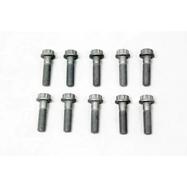 Bolts Set X10 Oem 1