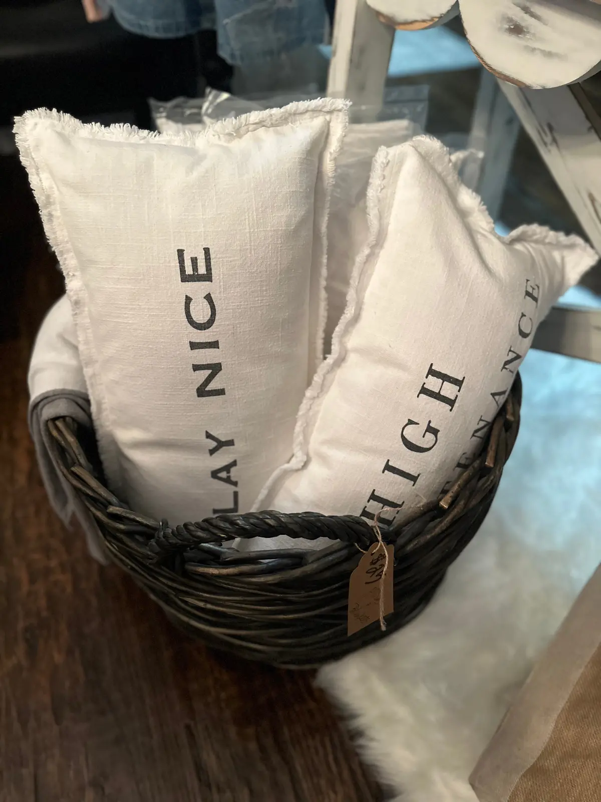 Play Nice Pillow 1