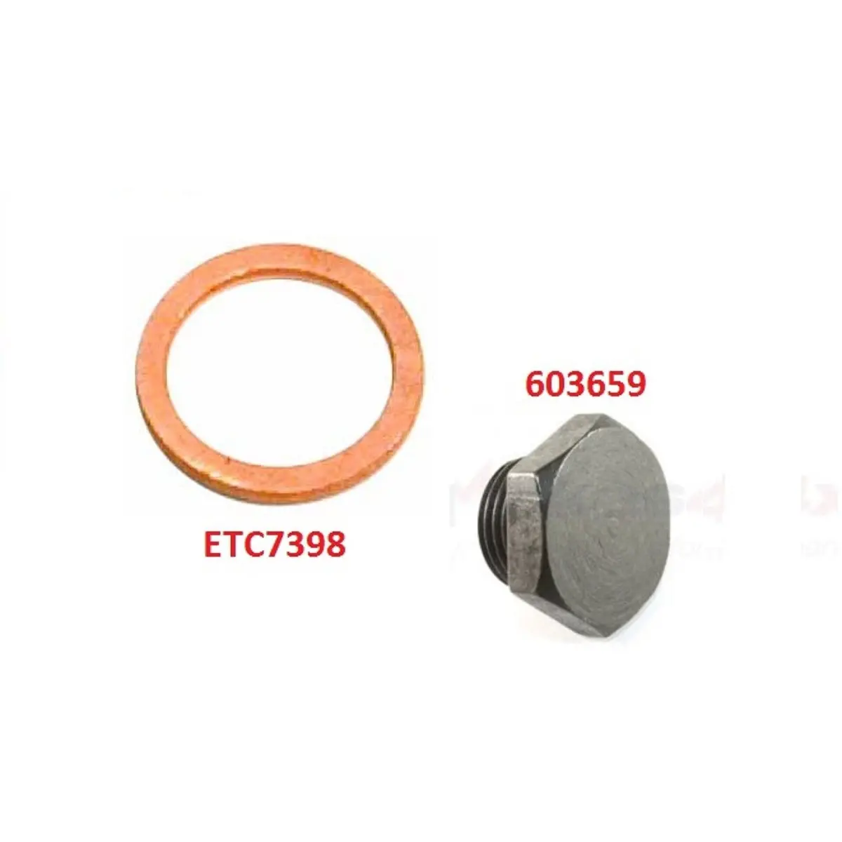 Oil Drain Plug & Washer 1