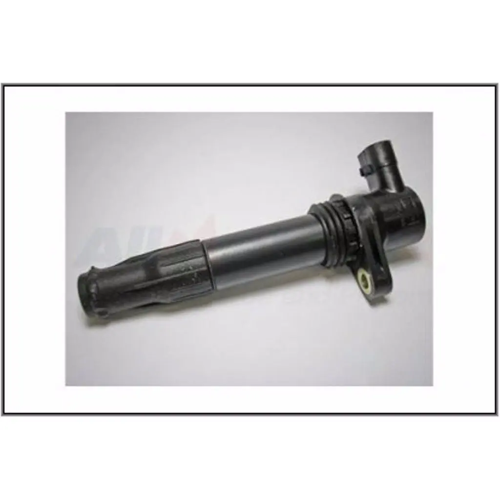 Ignition Coil Assy 1