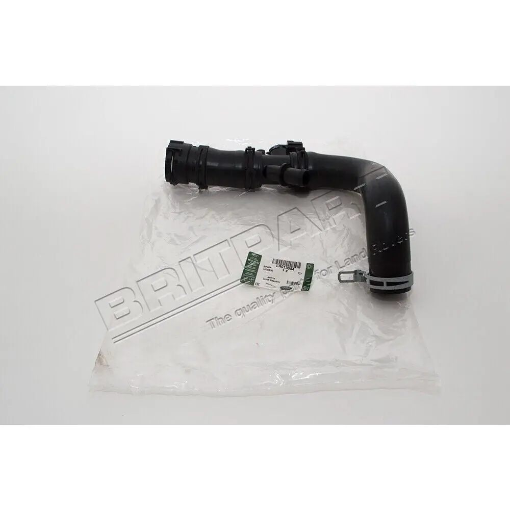 Lower Radiator Hose Genuine 1