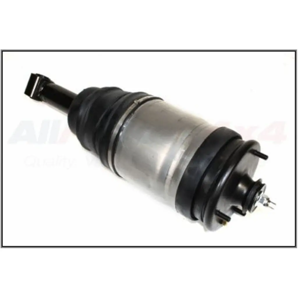 Rear Air Spring Suspension Strut Assy 1