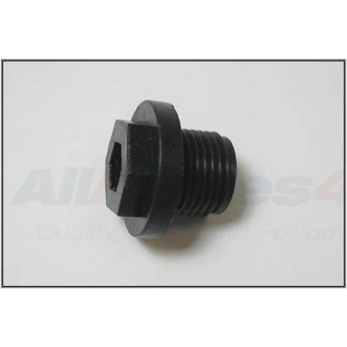 Radiator Filler Plastic Drain Plug 1
