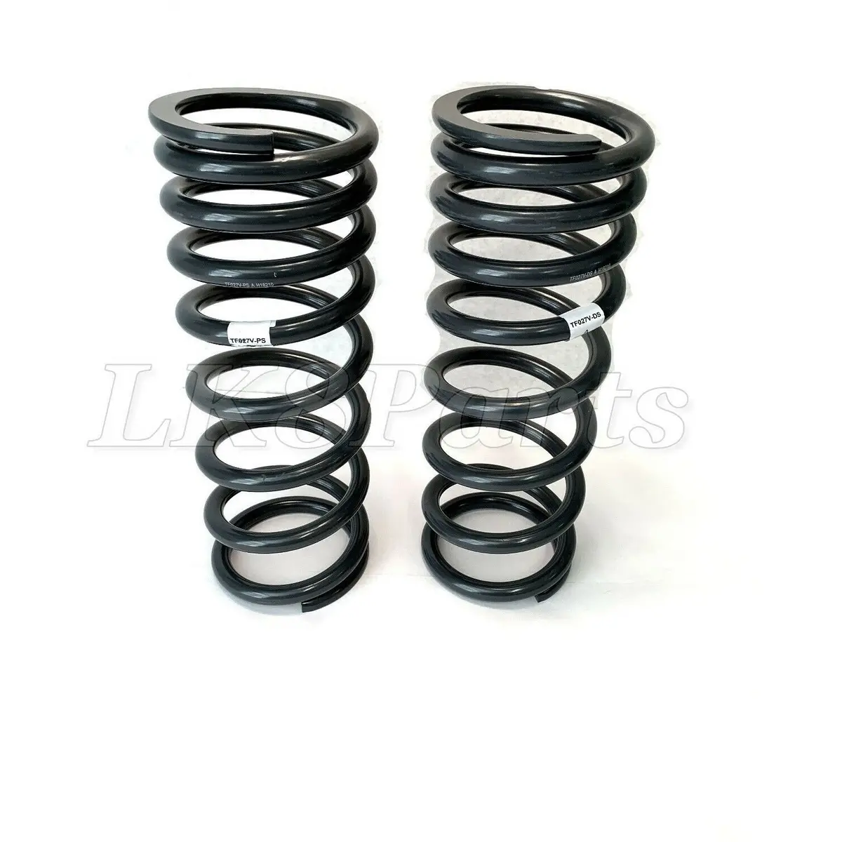 Terrafirma Heavy Load Rear Springs Set 1