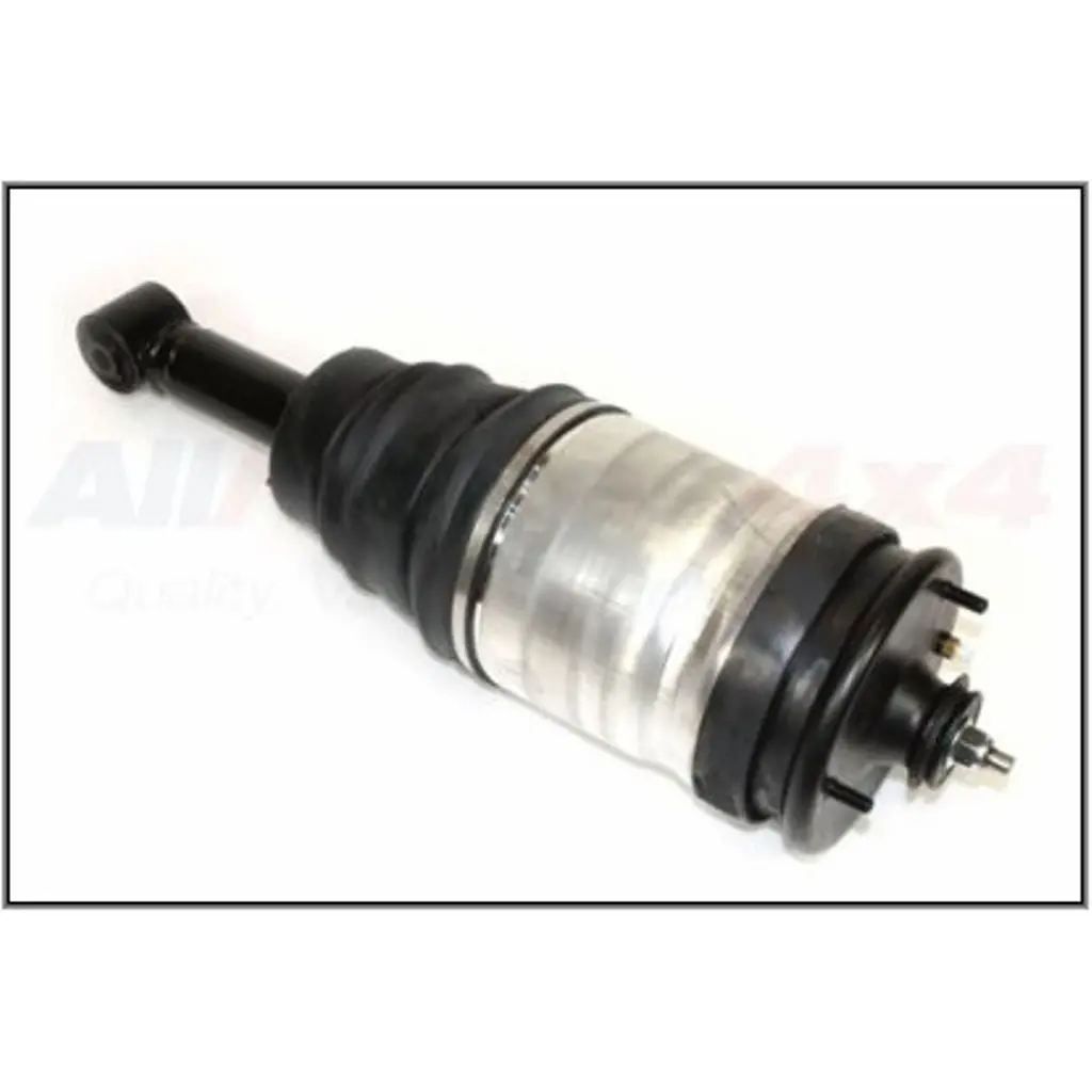Rear Air Spring Suspension Strut Assy 1