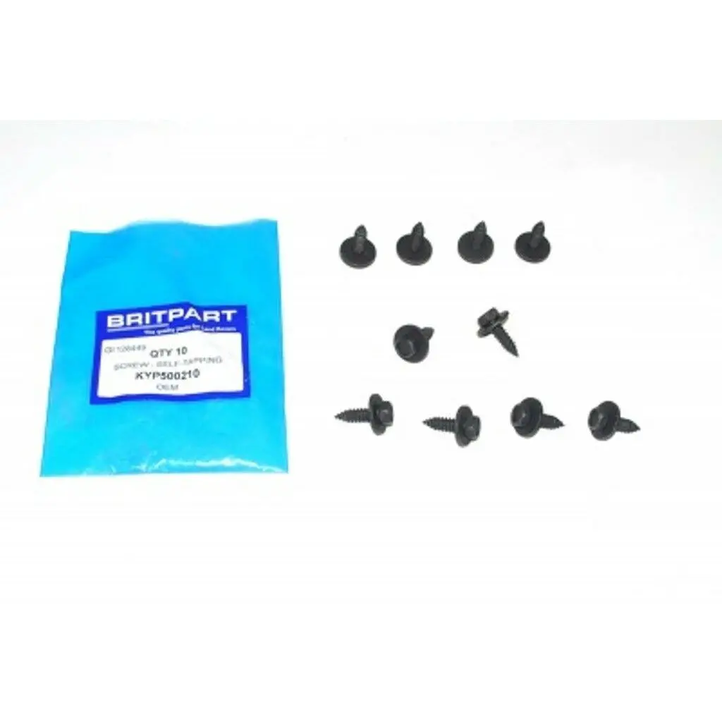 Front Grille Screw 1