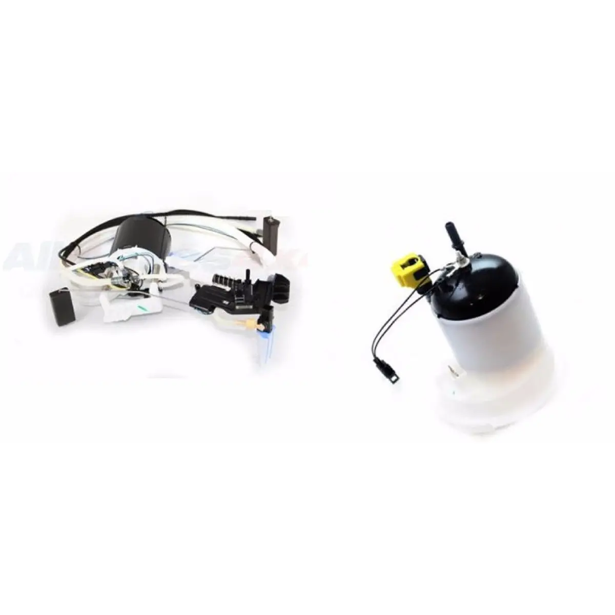 Filter Sender With Filter & Fuel Module Assy 1
