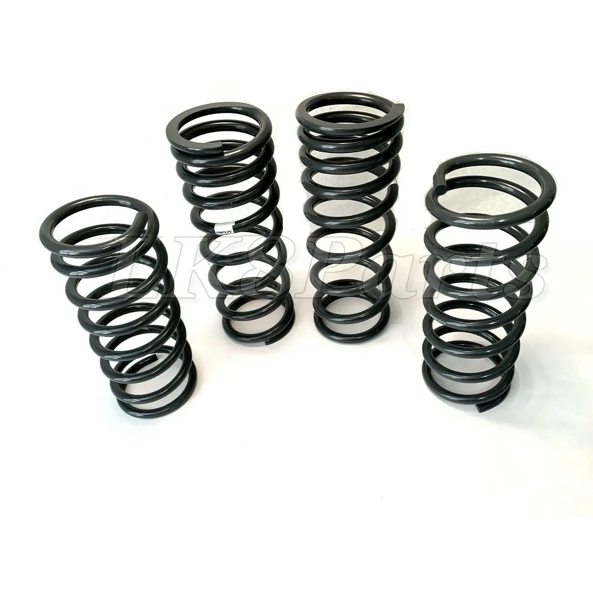 Terrafirma  Heavy Load Coil  Lift Kit 1