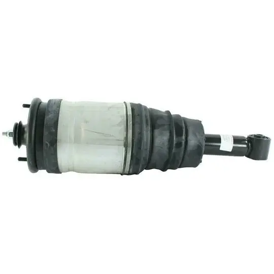 Lr038096w Rear Suspension Eas Strut & Air Spring Assembly – Oem Replacement 1