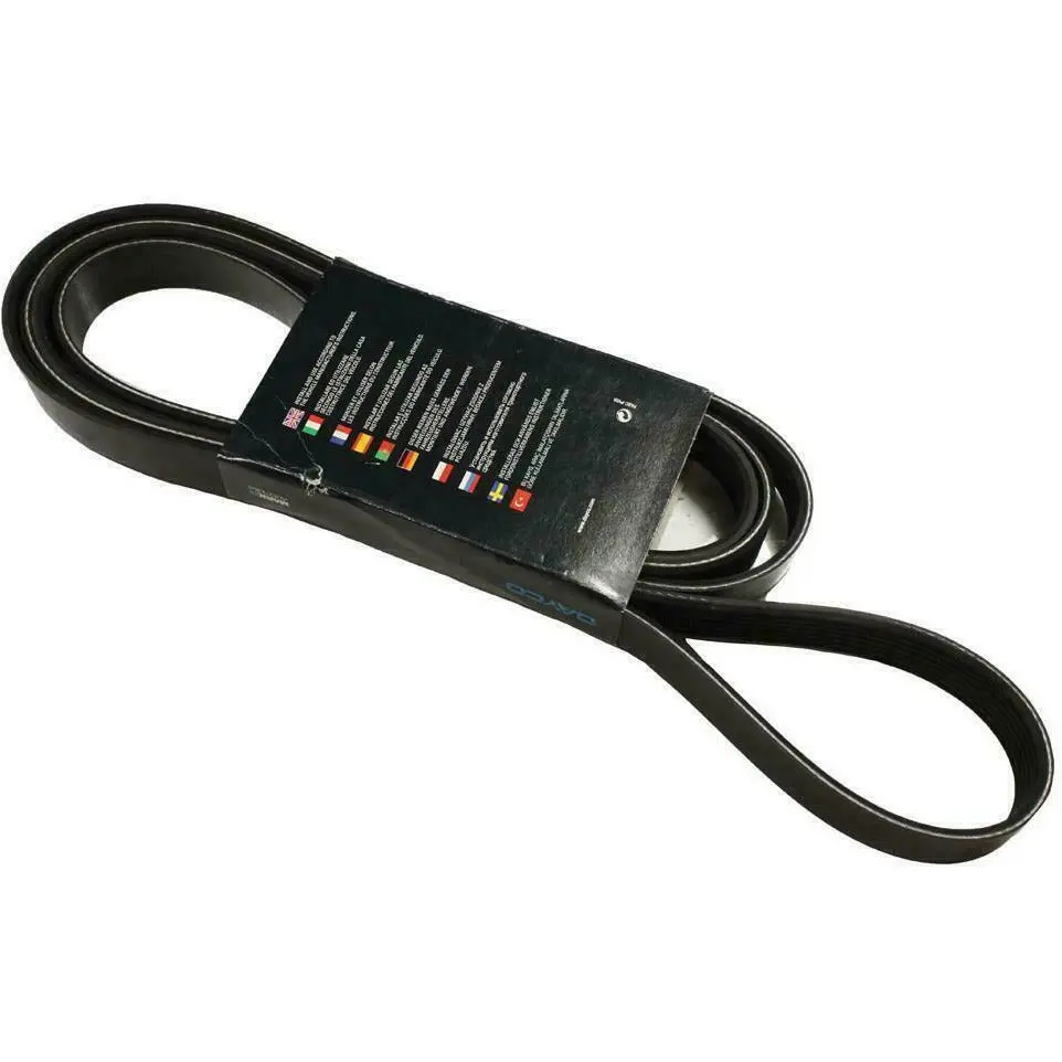 Alternator Belt 2.4 Puma Motor 1