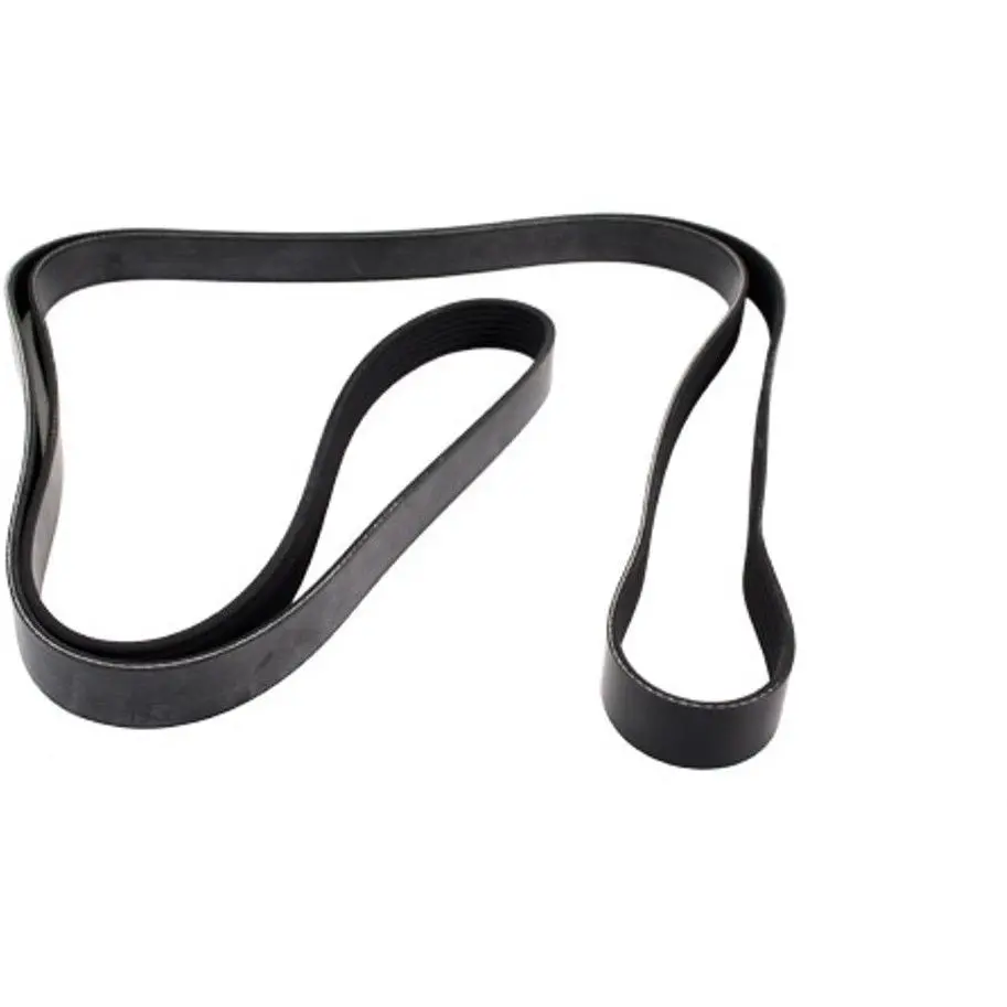 Alternator Drive Serpentine Belt With Ace 1