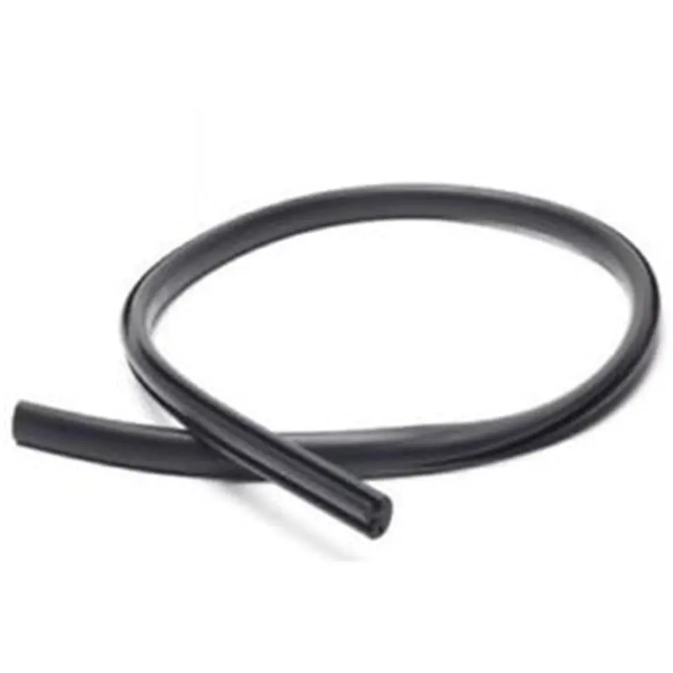 Body & Trim Weather Strip 1