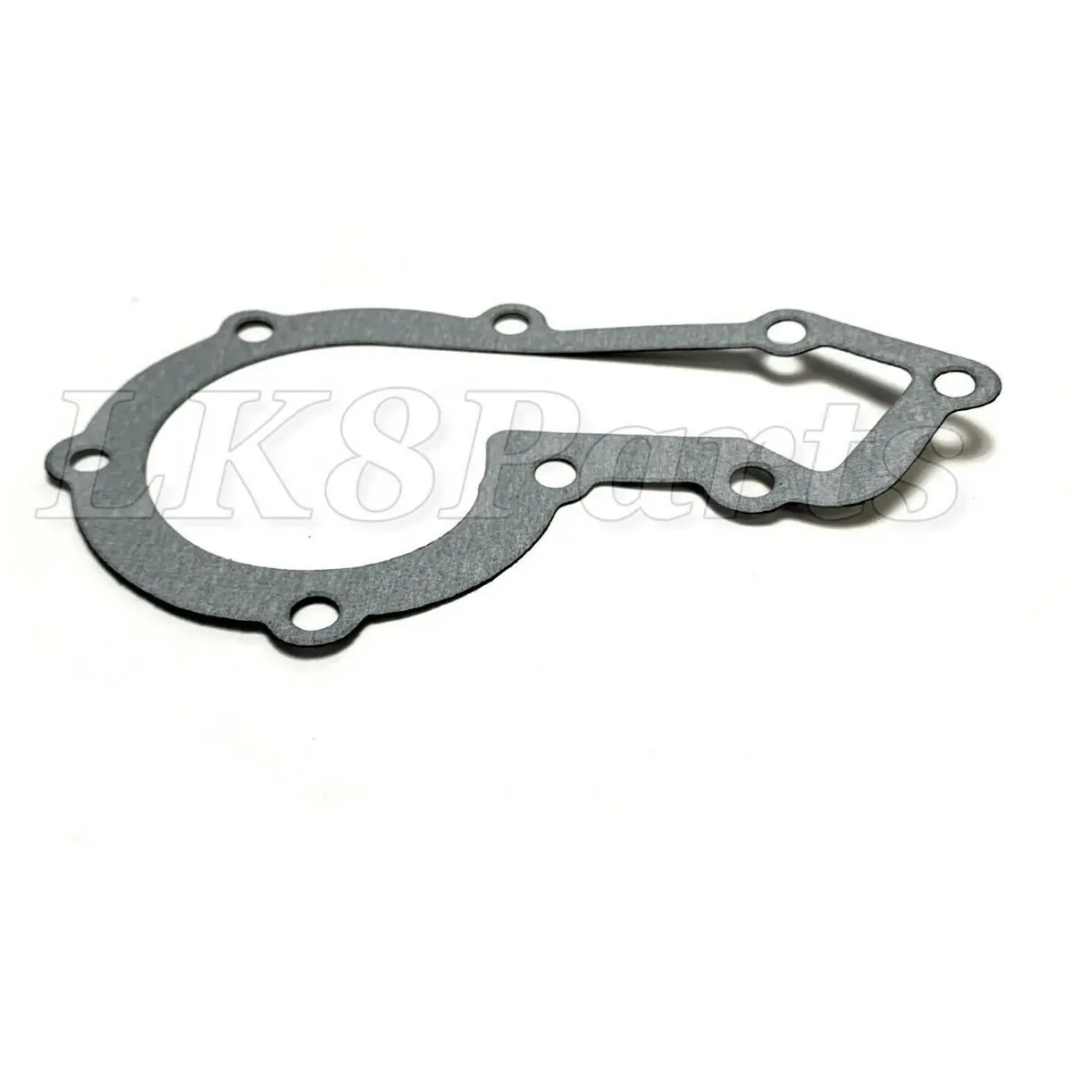 Water Pump Gasket 1