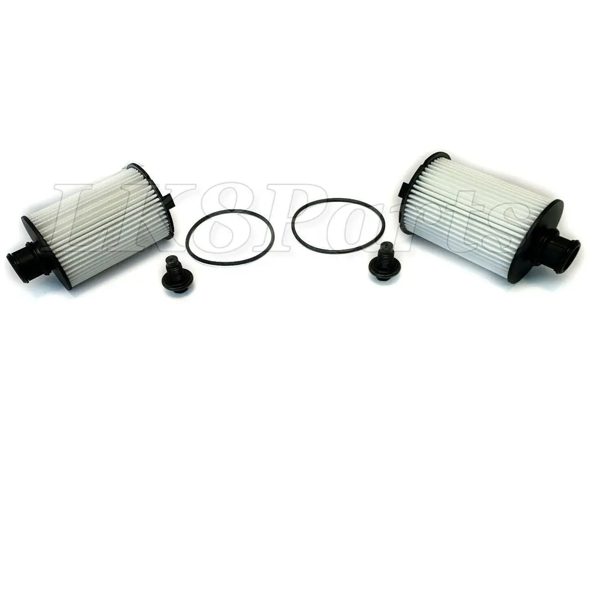 Oil Filter Kit X2 1