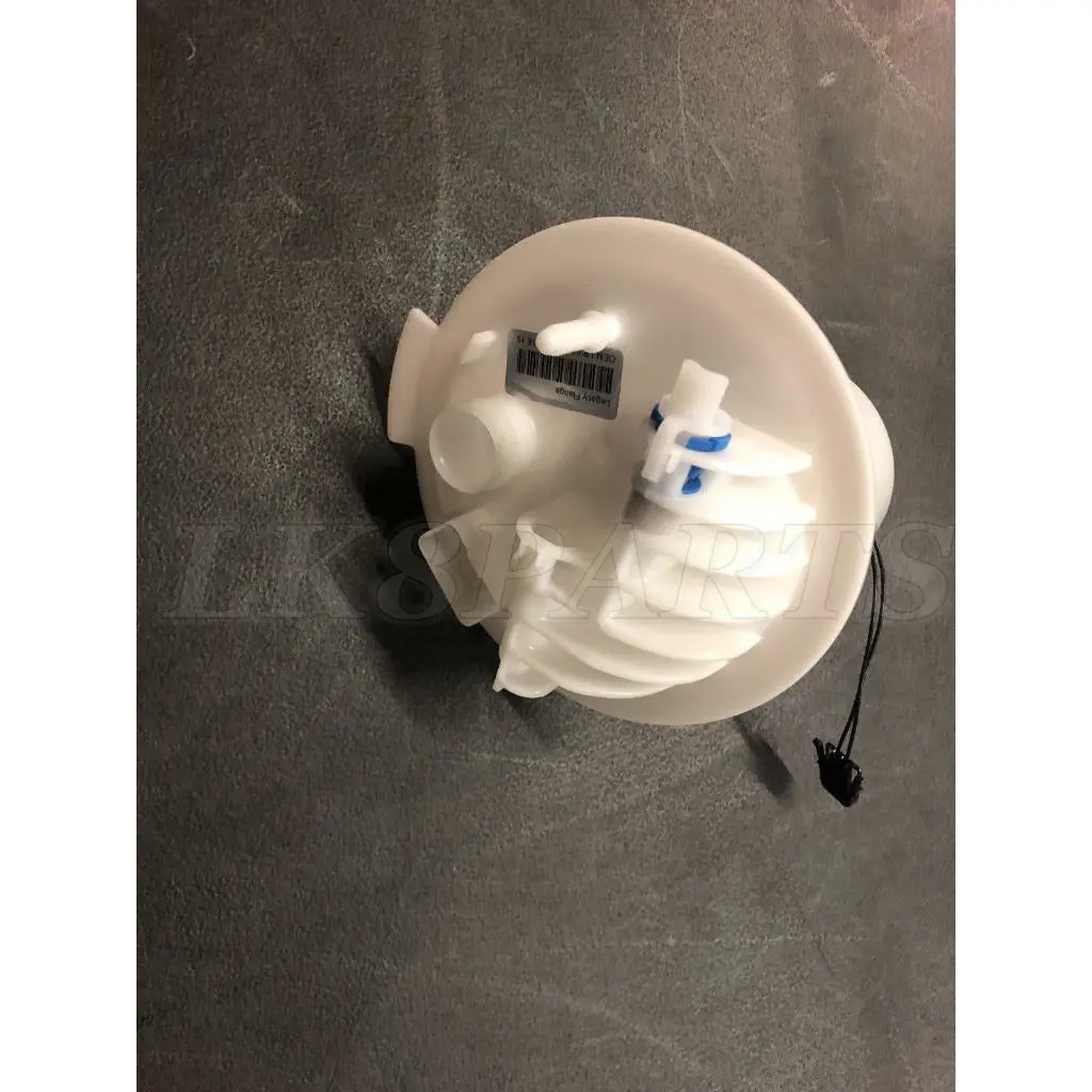 Petrol Fuel Tank Dust Cover & O'ring Set 1