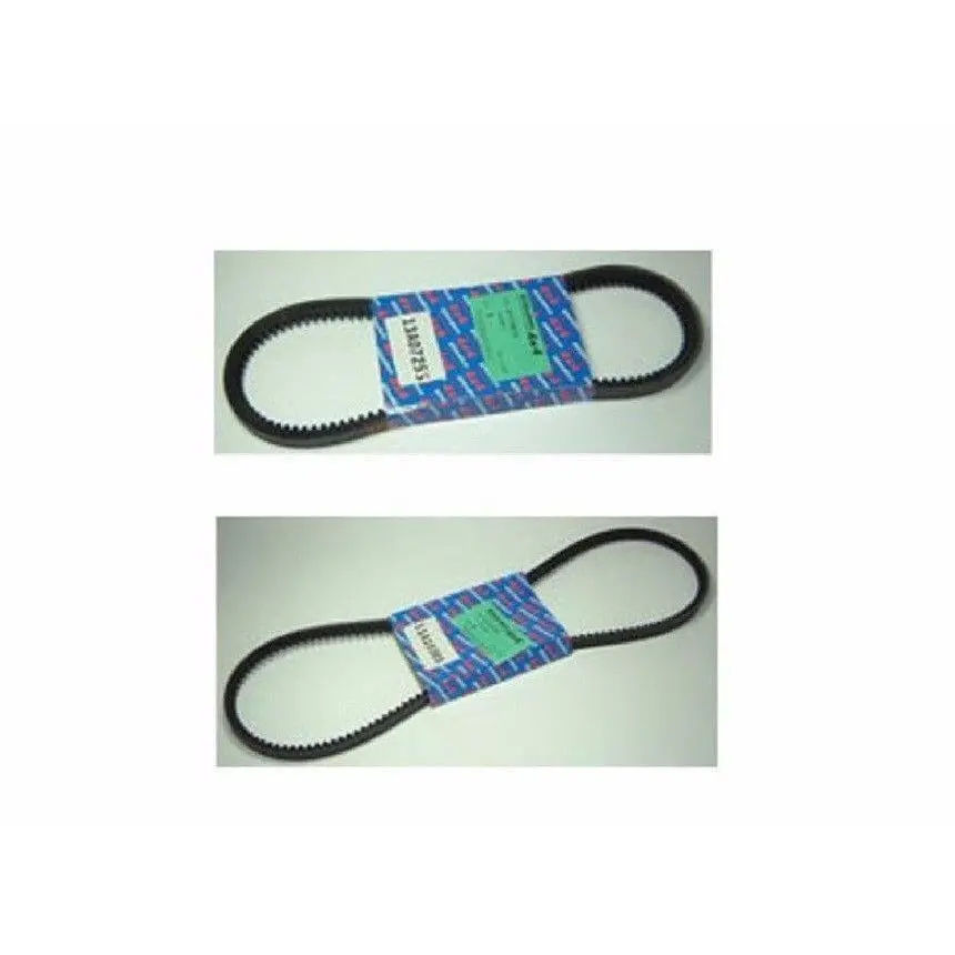 Alternator & Power Steering Drive Belt Kit  200 Tdi 1