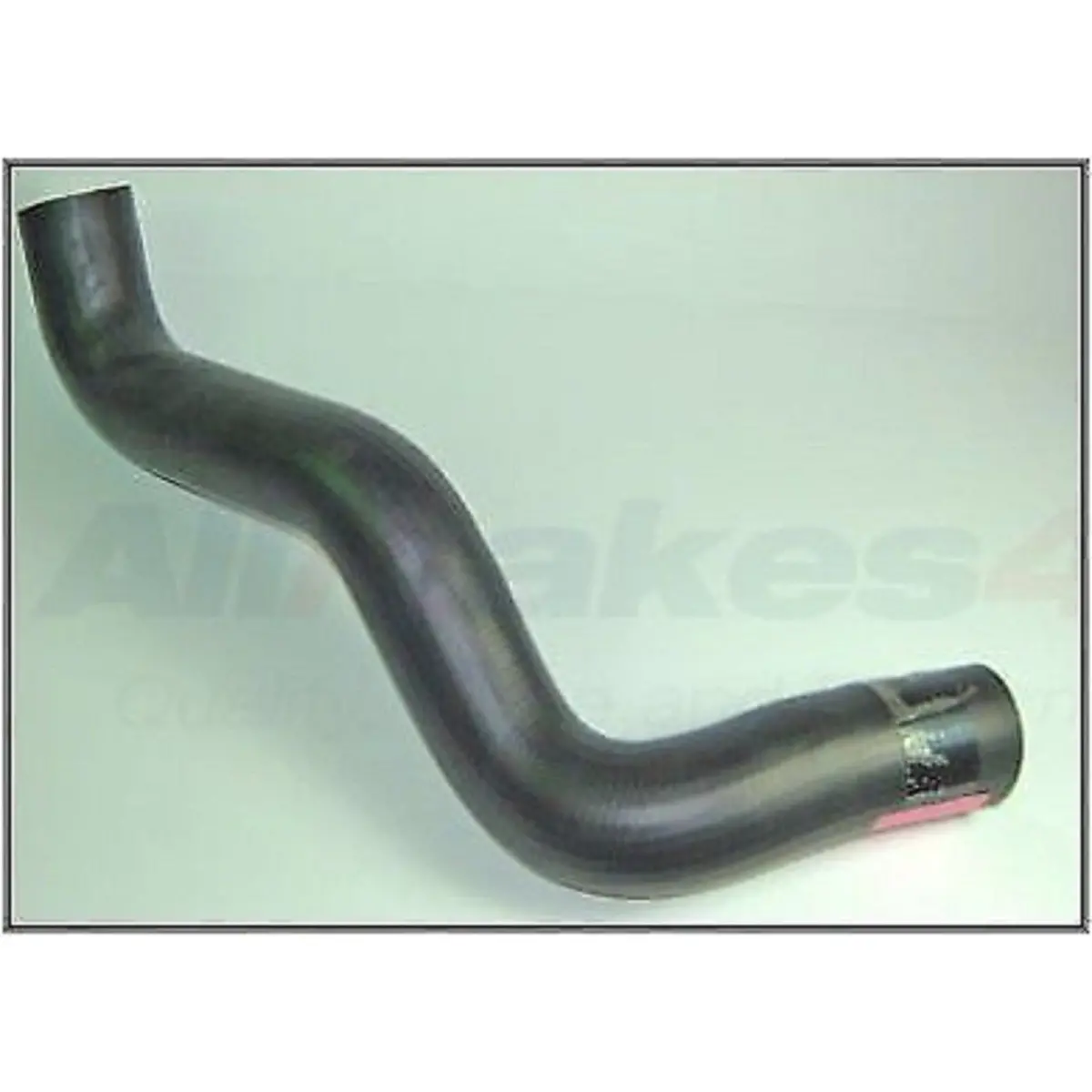 Lower Radiator Hose V8 1