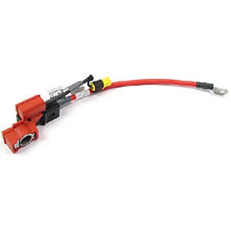 Cable Battery Postive Bulkhead 1
