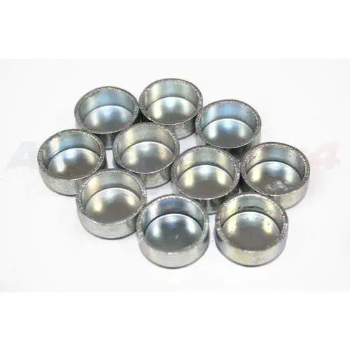 Cylinder Head Plug X10 1