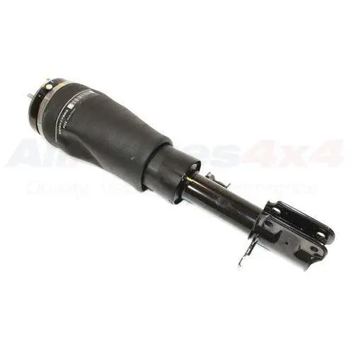 Eas Front Strut And Air Spring Assembly 1