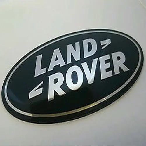 Front Grille Decal Silver On Green Emblem Badge Genuine 1