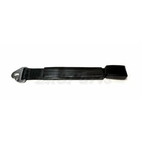 Rear Seat Belt Buckle 1