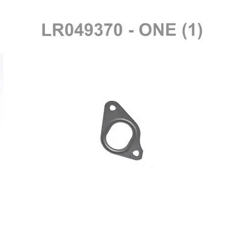 Water Pump Gasket 1