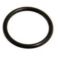 Position Sensor O-Ring Genuine 1