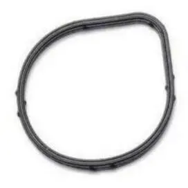Vacuum Pump Seal 1