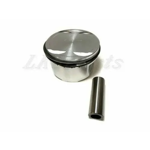 Piston And Rings Assy 1