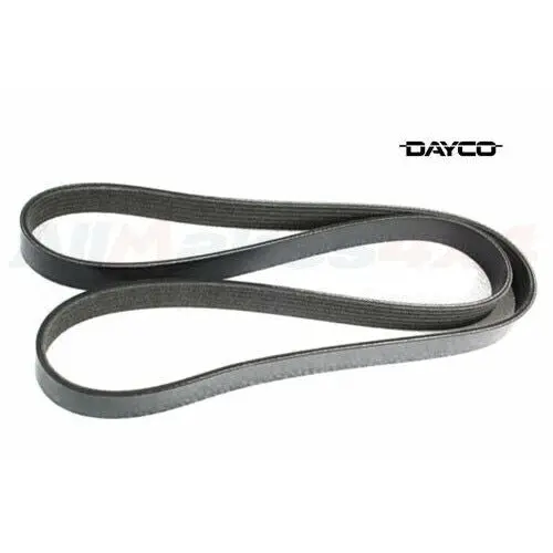 Diesel 3.6L V8 Secondary Belt 1