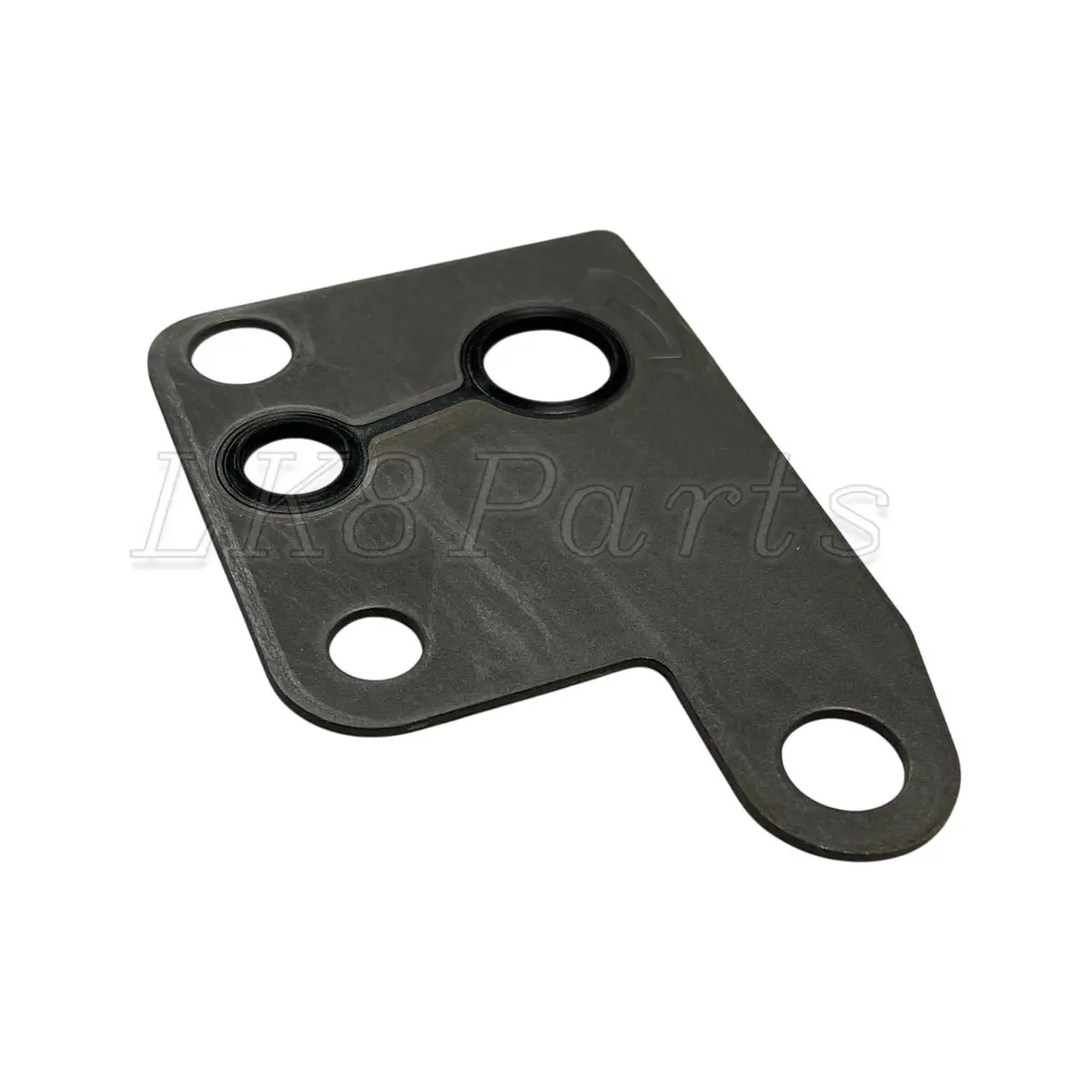 Genuine Vacuum Pump Gasket 1