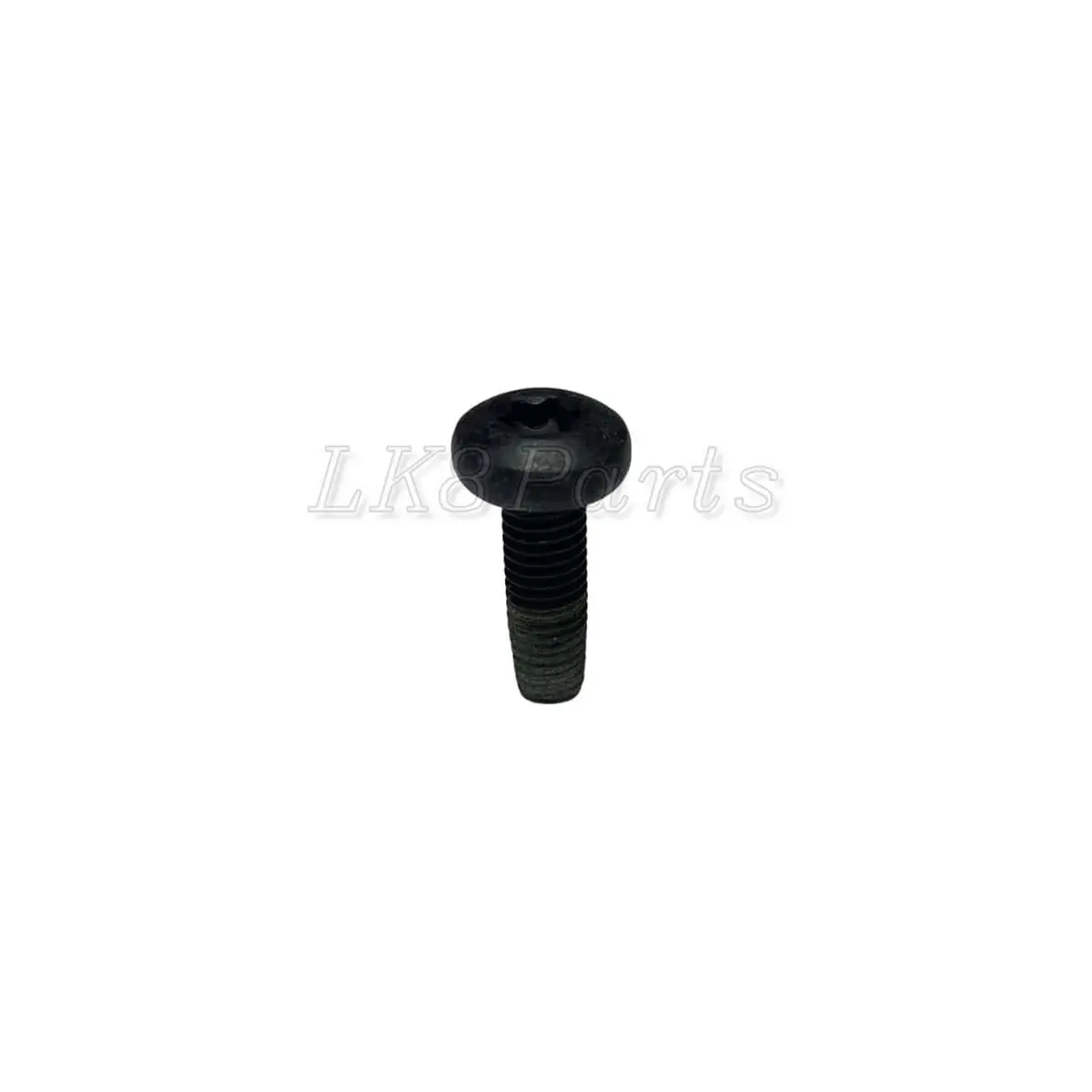 Pan Head Torx Bolt M10 X 30 1