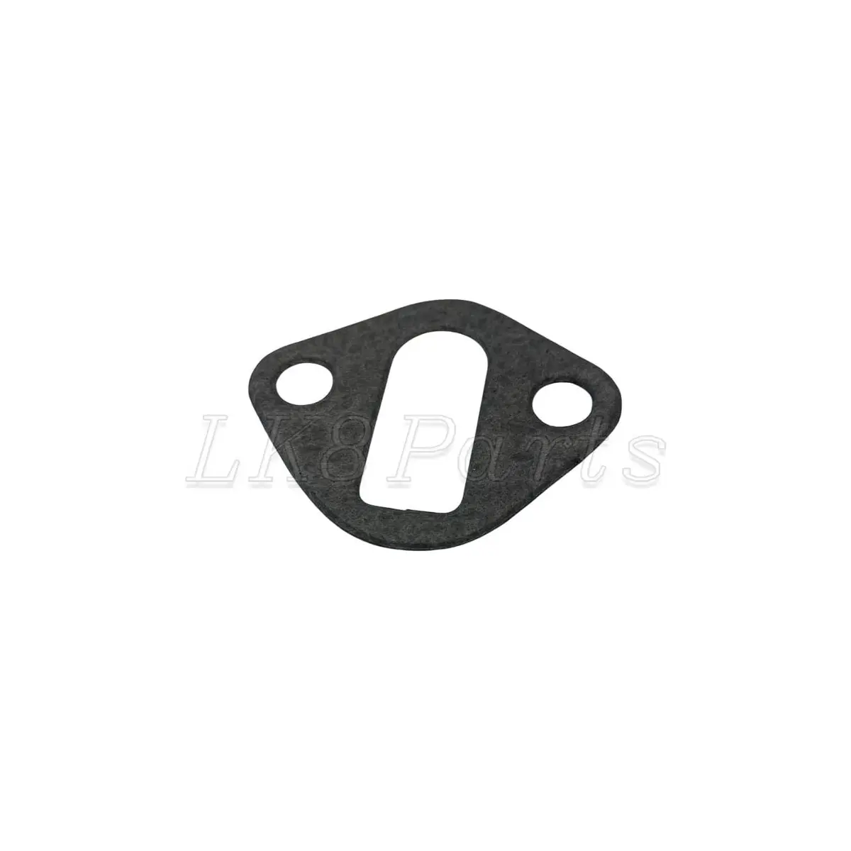 Fuel Pump Gasket 1