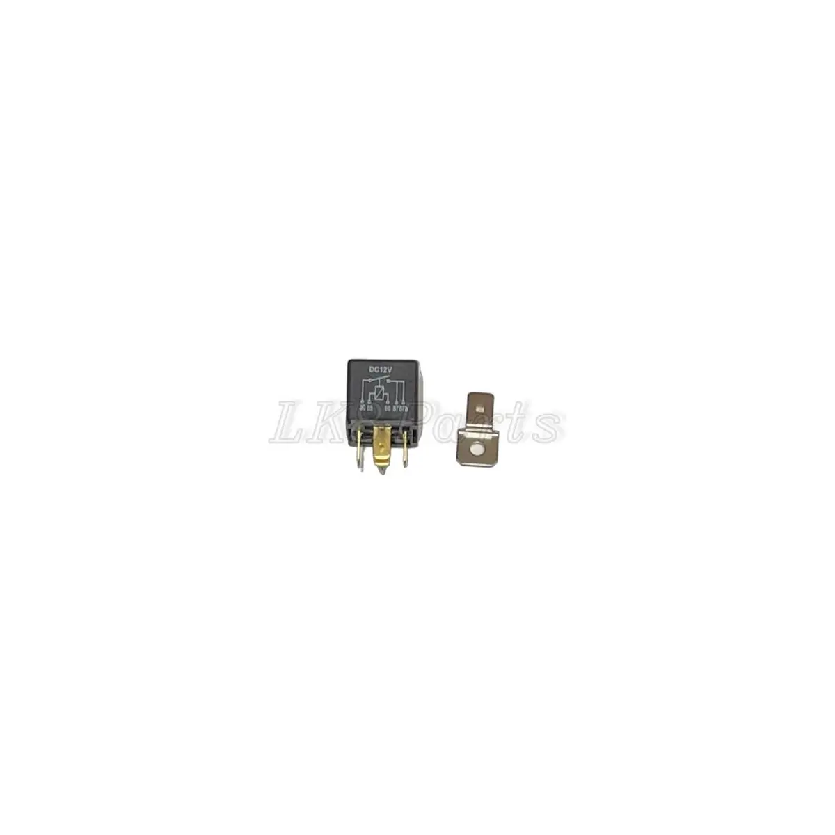 Fuel Injection Pump Relay 1