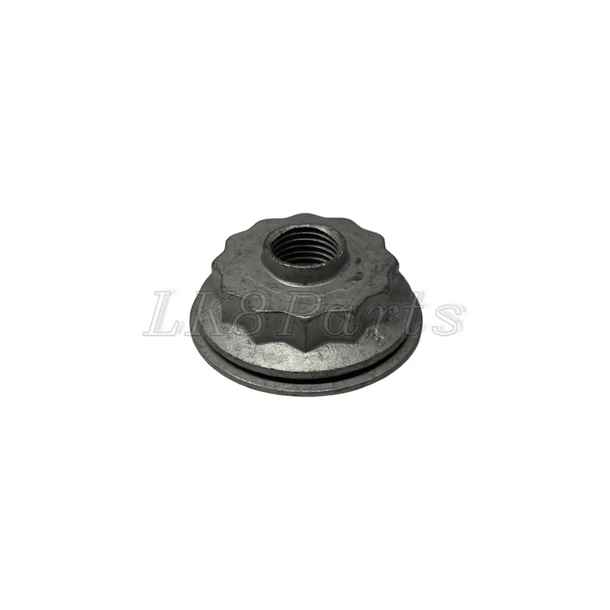 Front Lower Control Arm Nut 1