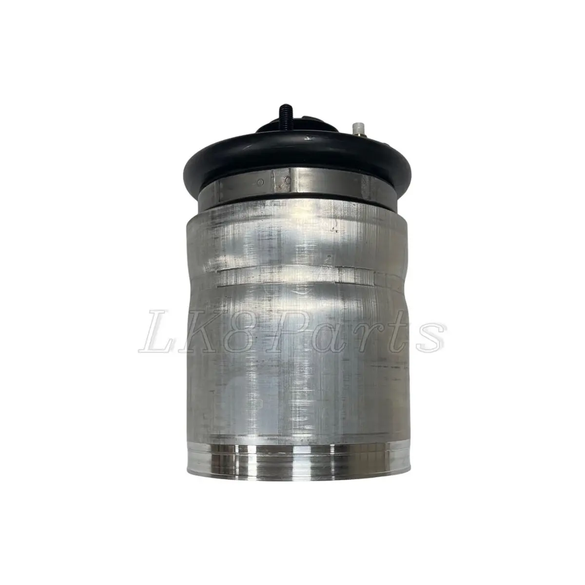 Rear Air Suspension Spring 1