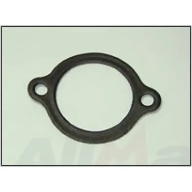 V8 Thermostat Gasket Oem 1